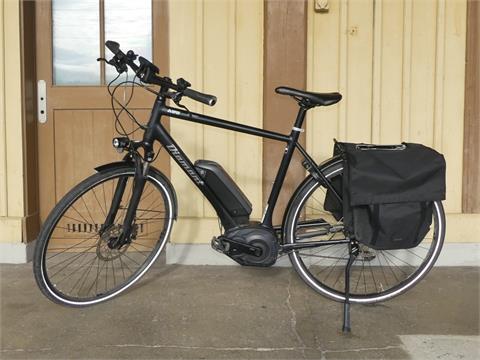 01) E-Bike /Trekkingbike Diamant Elan +